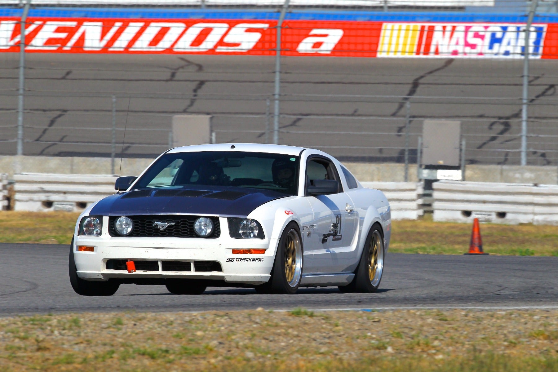 2005-2009 Mustang GT2 Hood Louvers Kit