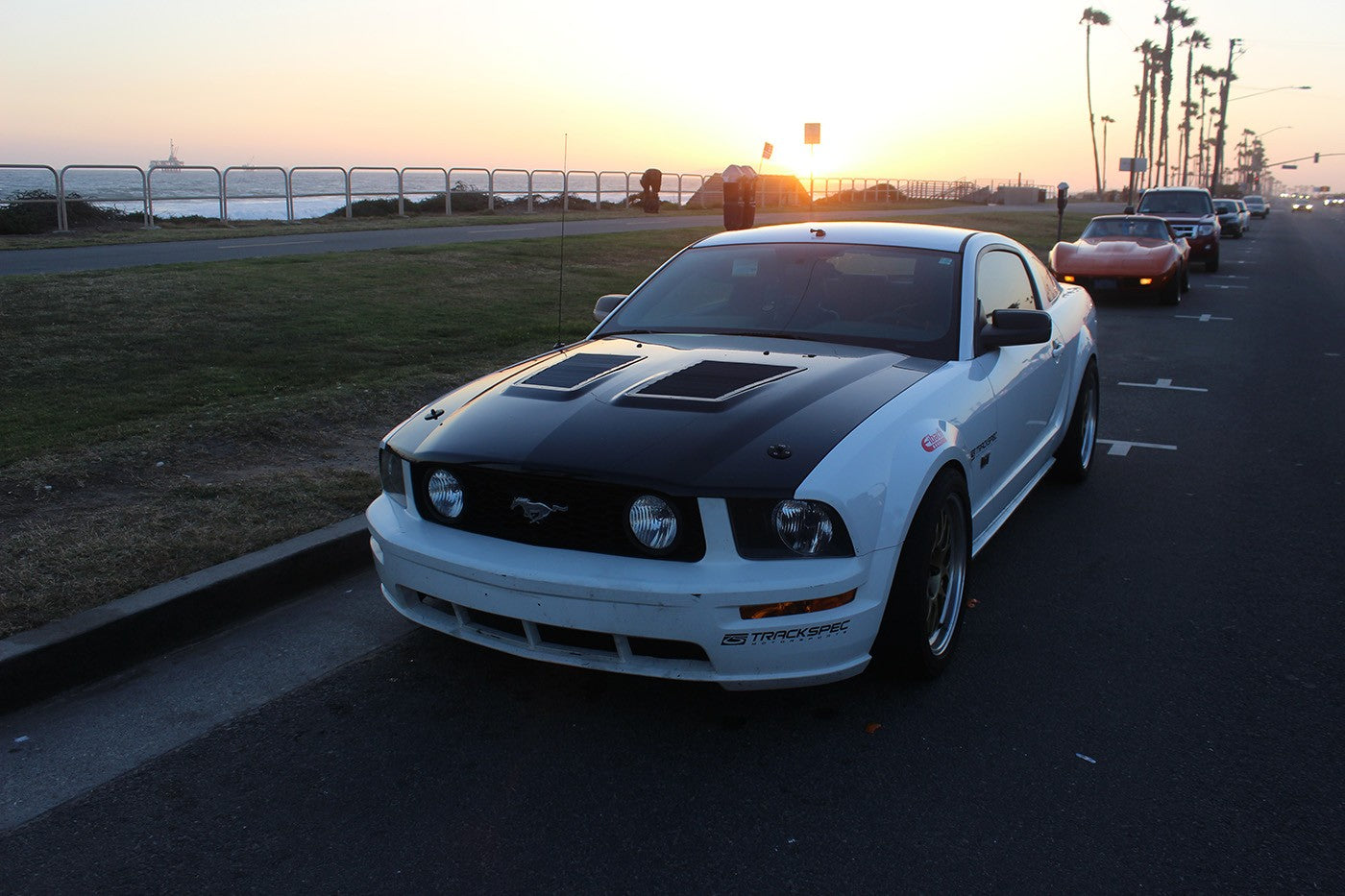2005-2009 Mustang GT500 Hood Louvers Kit