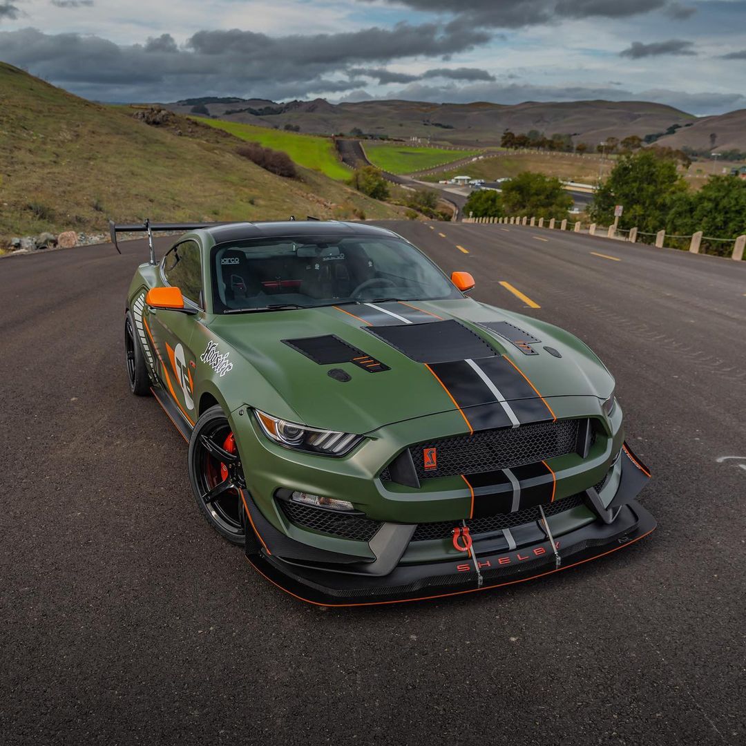 2016-2018 Mustang GT350 GT4 Full Hood Louver Kit