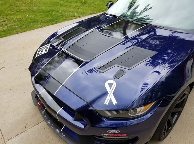 2016-2021 Mustang GT350 GT4 Side Only Louver Kit